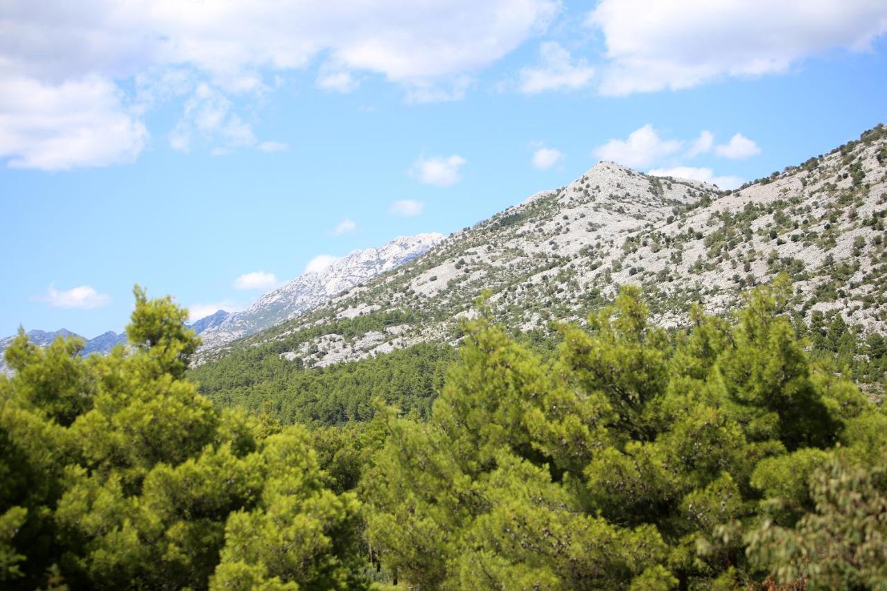 Villa Francesca Starigrad Paklenica Exterior foto